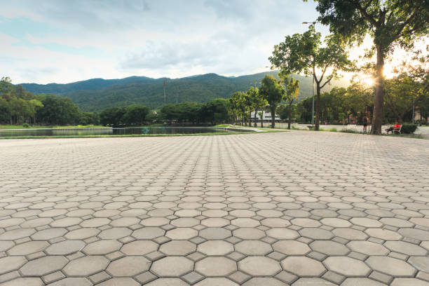 Best Driveway Pavers Near Me  in Wake Forest, NC