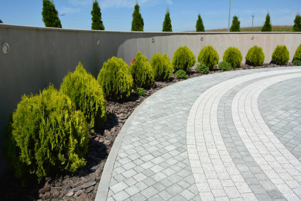 Best Residential Paver Driveway  in Wake Forest, NC